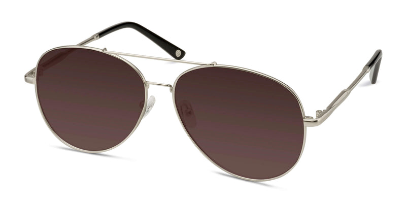Camp--Matte Silver