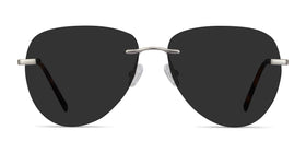 Martin--Matte Silver
