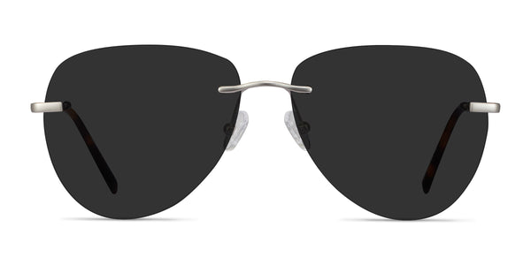 Martin--Matte Silver