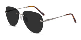 Martin--Matte Silver
