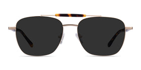 Jackson--Gold Tortoise