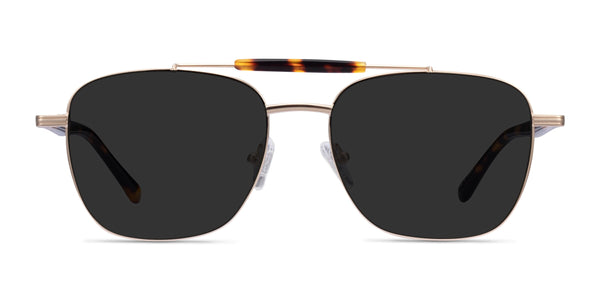 Jackson--Gold Tortoise