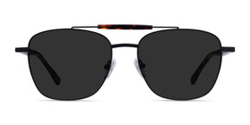 Jackson--Black Tortoise