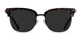 Monte Carlo--Tortoise Gunmetal