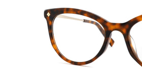 FG1269--Brown Gold Tortoise