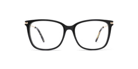 FG1275--Red Tortoise