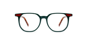 FG1343--Clear Pink Tortoise