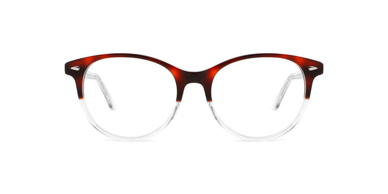 FG1197--Black Tortoise