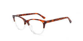 FG1198--Red Tortoise