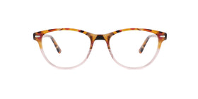 FG1194--Brown Tortoise