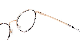 FG1107--Brown Tortoise