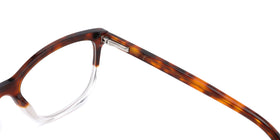 FG1199--Red Tortoise