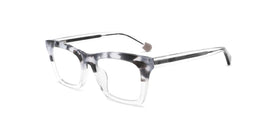 FG1355--Gray Tortoise