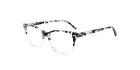 FG1195--Black Tortoise