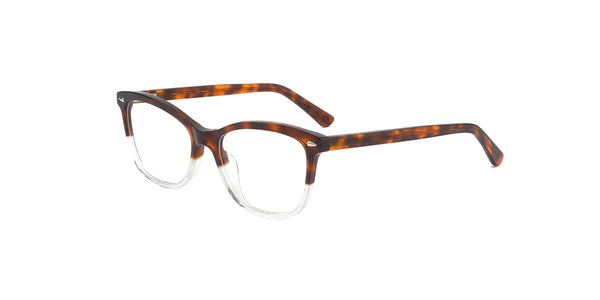 FG1199--Red Tortoise