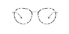 FG1107--Gray Tortoise