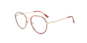 FG1110--Red Tortoise