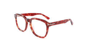 FG1149--Red Tortoise