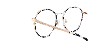 FG1107--Gray Tortoise