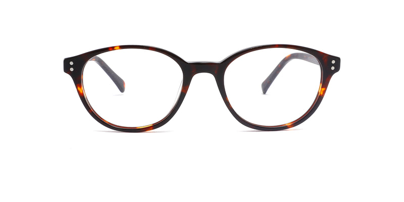 FG1011--Red Tortoise
