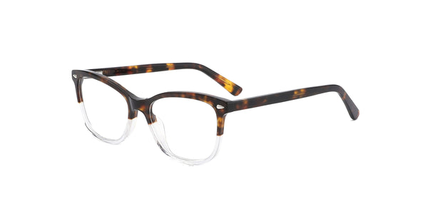 FG1199--Black Tortoise