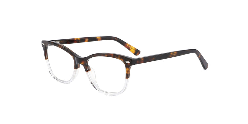 FG1199--Black Tortoise