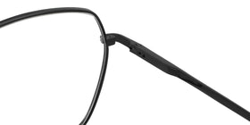 ZD8806--Silver Tortoise