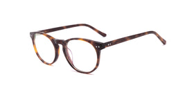 FG1039--Brown Tortoise
