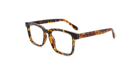 YDT1934--Brown Tortoise