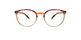 Esplanade Clip-On--Brown Tortoise