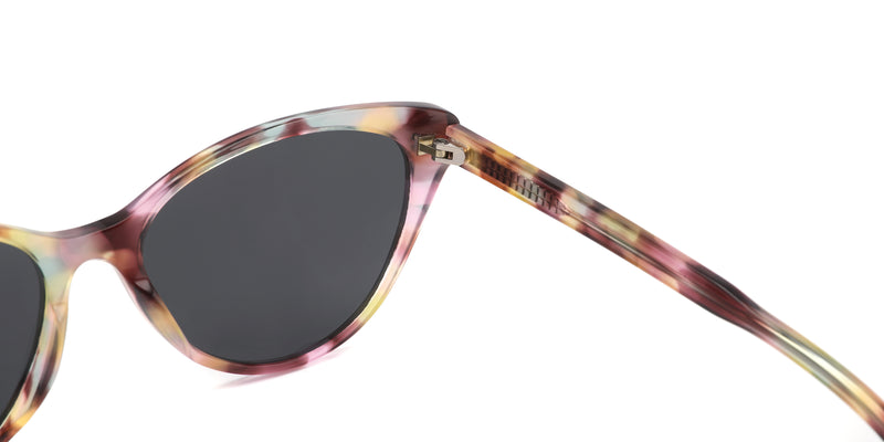 FG1298T--Tortoise