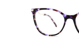 FG1267--Purple Tortoise