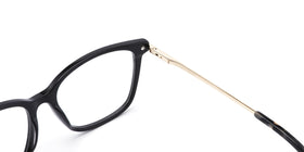 FG1275--Red Tortoise