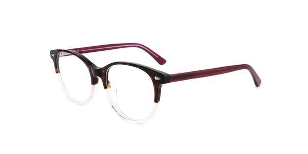 FG1197--Black Tortoise