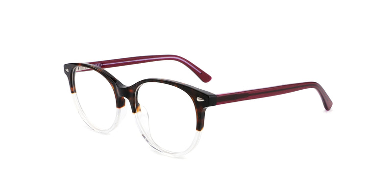 FG1197--Black Tortoise