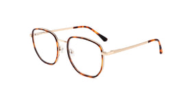 FG1103--Red Tortoise