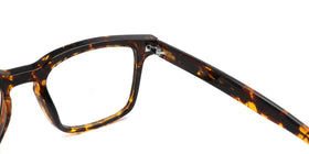 YDT1934--Brown Tortoise