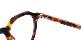 FG1005--Pink Tortoise