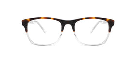 FG1181--Brown Tortoise