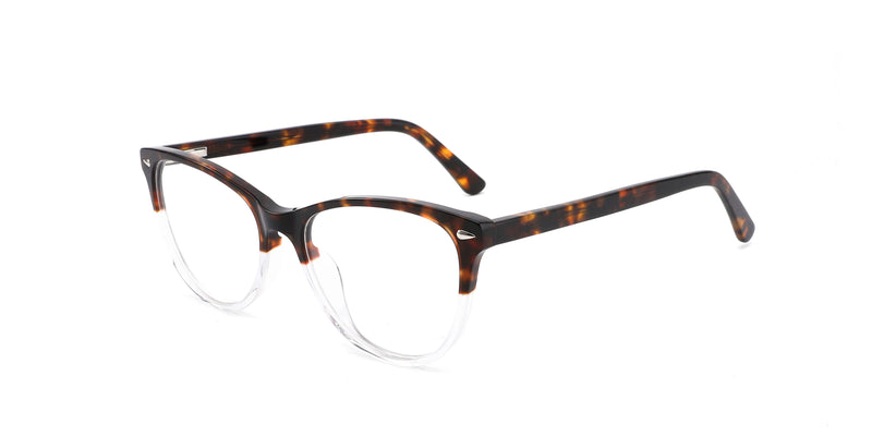 FG1198--Black Tortoise