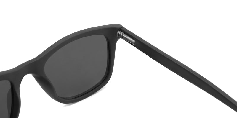 ZD8073--Tortoise