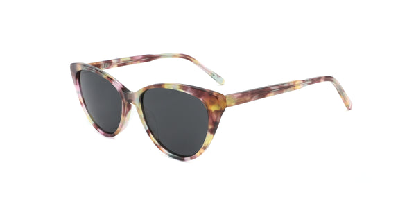 FG1298T--Tortoise