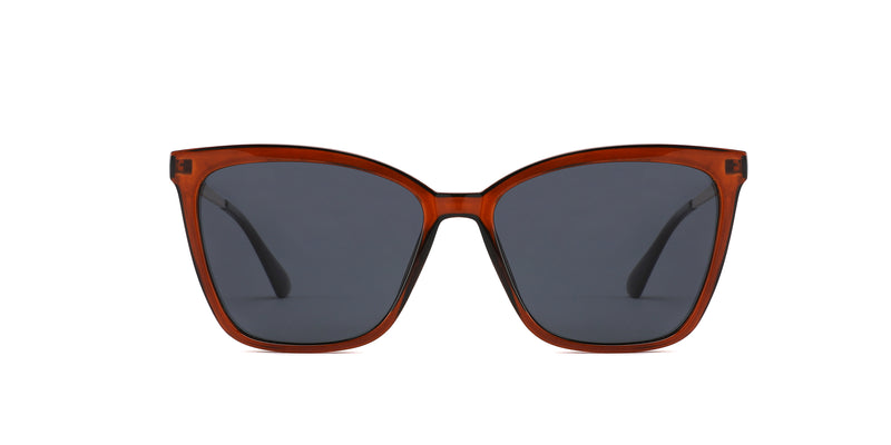 ZDTR1009T--Tortoise