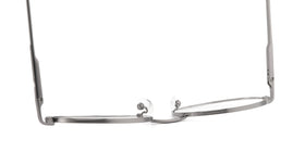 ZD8810--Silver Tortoise