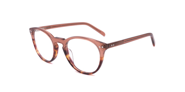 FG1023--Brown Tortoise