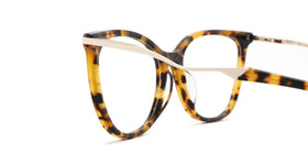 FG1267--Brown Tortoise