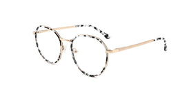 FG1107--Gray Tortoise