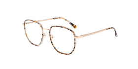 FG1103--Gray Toetoise