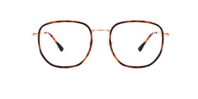 FG1103--Gray Toetoise