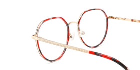 FG1110--Red Tortoise